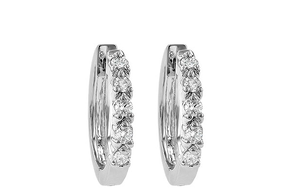 B231-66557: EARRINGS .25 TW