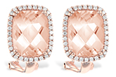 F233-53856: EARR 4.60 MORG 4.85 TGW