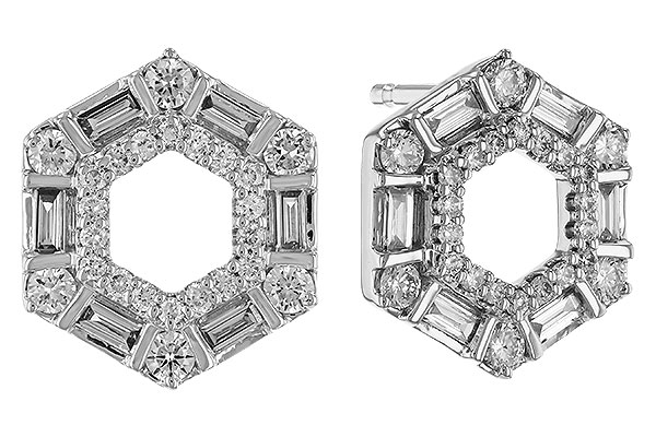 G320-73847: EARR .20 TW BAG .65 TGW